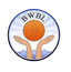 Baltic WBBL logo