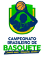 Brazilian League logo