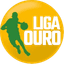 Brazil BLO logo - Brazil Blo Live Score Today