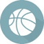 VWSL logo - Vwsl Live Basketball