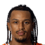 Nelson Weidemann player photo