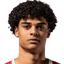 Iliam Alex Fevry player photo