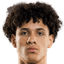 Lenny Anigbata player photo