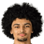 David Punch player photo