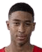 Guillermo Navarro player photo