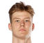 Henri Veesaar player photo