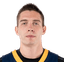 Nezvankin Dmitriy Vladimirovich player photo