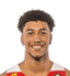 Pablo Tamba Villen player photo