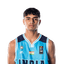 Arman player photo
