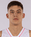 Boris Tisma  player photo