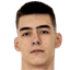 Nikola Dzepina player photo