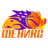 Feniks 2010 logo