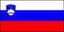 Slovenia U18 Women logo