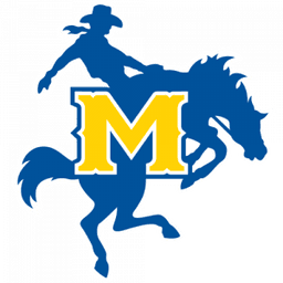 McNess State logo