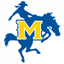 McNess State logo