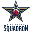 Birmingham Squadron logo