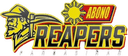 Pangasinan Abono logo - Club Friendship Pangasinan Abono Vs Top Tier Athletics Live Score