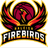Raleigh Firebirds logo - Usa Tbl Basketball Live Score