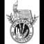 Tec Mty Hidalgo Women logo