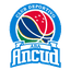 Ancud logo