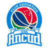 Ancud logo
