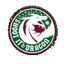 Shoot It Dragon logo