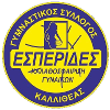 Esperides Kallitheas Women logo - Wa Esperides Kallitheas Women Vs Panathlitikos Women Results
