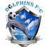 Ghana Navy logo