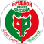 Paffoni Omegna logo