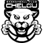 ChelGU Kostanay  logo