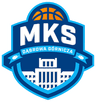 Dabrowa Gornicza logo