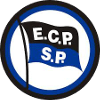 Pinheiros U19 logo - Brazil Fpbu Pinheiros U Vs Franca U Live Score