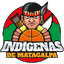 Indigenas Matagalpa logo