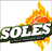 Soles De Santo Domingo Este logo - Dominican Republic Lnb Basketball Result