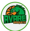 F.R Avare logo - Brazil Sao Paulo Cup Sao Caetano Vs Fr Avare Results