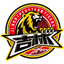 Jilin Northeast Tigers logo