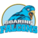 AdU Soaring Falcons logo - Philippines Uaap Adu Soaring Falcons Vs Dlsu Green Archers Basketball Result