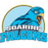 AdU Soaring Falcons logo