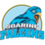 AdU Soaring Falcons logo