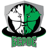 Beroe logo