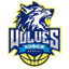 Kosice Wolves logo