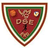 VMG DSE logo