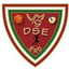 VMG DSE logo