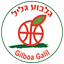 Gilboa Galil logo