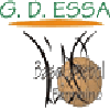 GDESSA 2 Women logo - Portuguese Div W Paco De Arcos Women Vs Gdessa Women Basketball Live