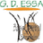 GDESSA 2 Women logo
