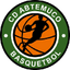 Temuco SAESA logo