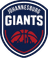 Johannesburg Giants logo