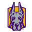 Albany logo
