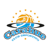 Carahue SAESA logo - Chile Liga Saesa Deportivo Valdivia Vs Carahue Saesa Live Basketball